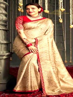 Saree Galore Australia Indian Sarees