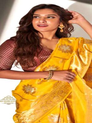 Saree Galore Australia Indian Sarees
